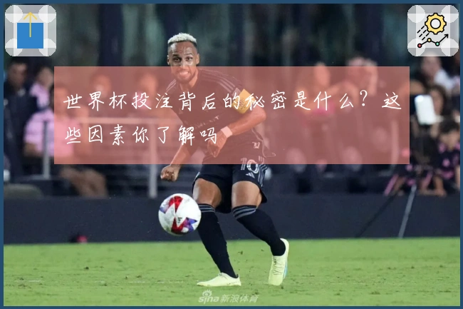 世界杯投注背后的秘密是什么？这些因素你了解吗