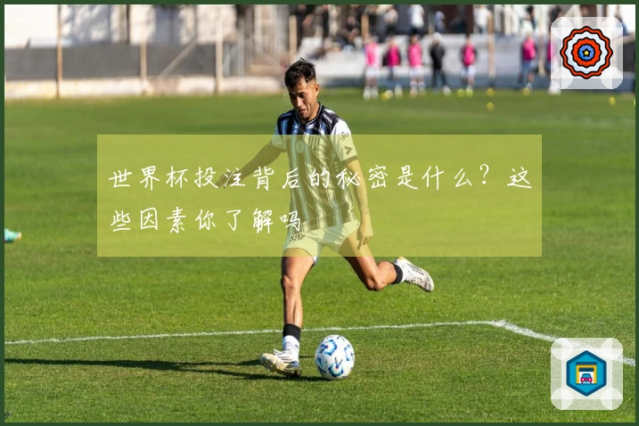 世界杯投注背后的秘密是什么？这些因素你了解吗