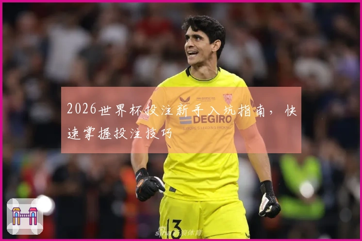 2026世界杯投注新手入坑指南，快速掌握投注技巧