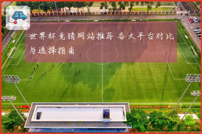 世界杯竞猜网站推荐 各大平台对比与选择指南
