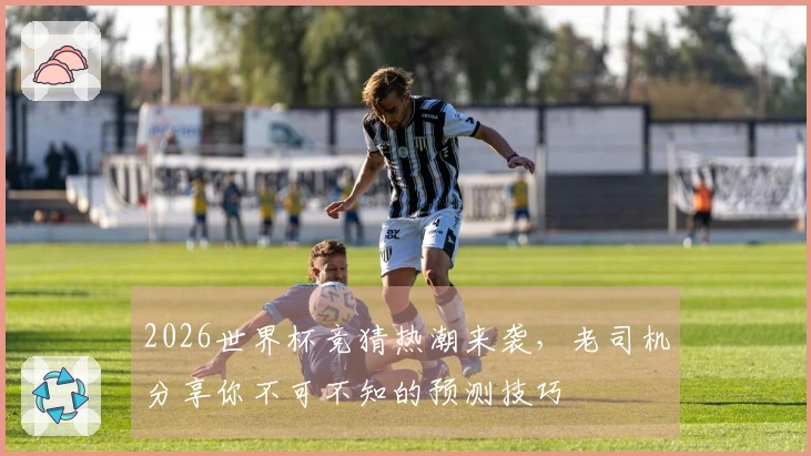 2026世界杯竞猜热潮来袭，老司机分享你不可不知的预测技巧