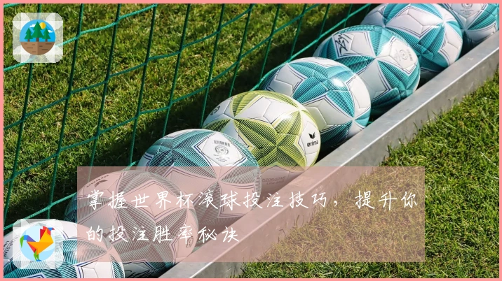 掌握世界杯滚球投注技巧，提升你的投注胜率秘诀