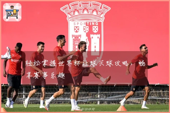 轻松掌握世界杯让球买球攻略，畅享赛事乐趣