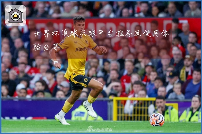 世界杯滚球买球平台推荐及使用体验分享
