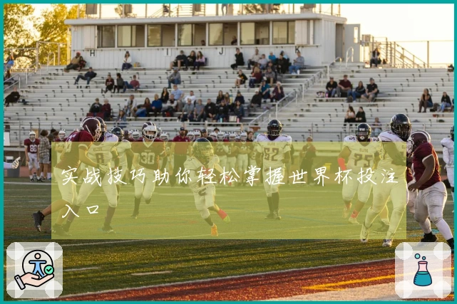 实战技巧助你轻松掌握世界杯投注入口