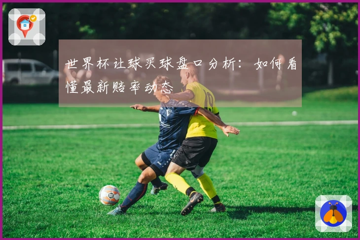 世界杯让球买球盘口分析：如何看懂最新赔率动态