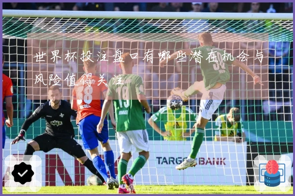 世界杯投注盘口有哪些潜在机会与风险值得关注
