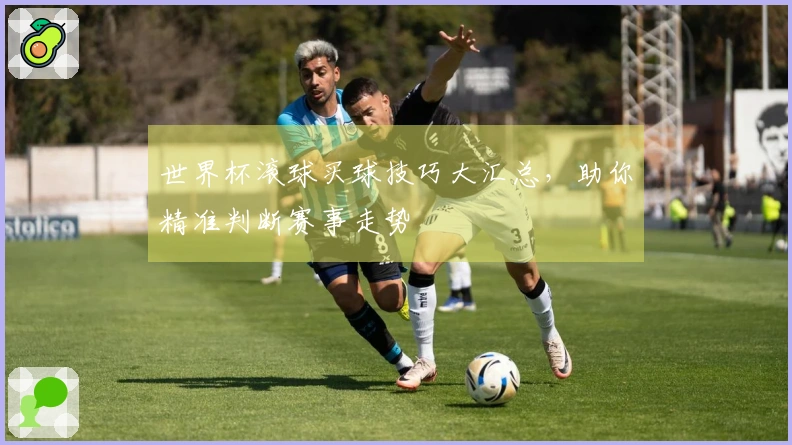 世界杯滚球买球技巧大汇总，助你精准判断赛事走势