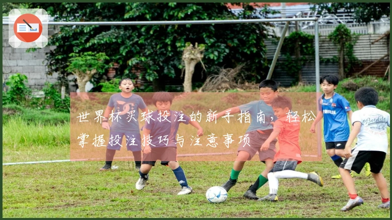 世界杯买球投注的新手指南，轻松掌握投注技巧与注意事项