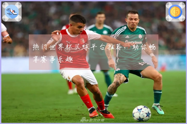 热门世界杯买球平台推荐，助你畅享赛事乐趣
