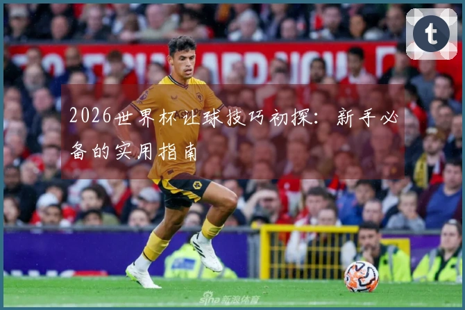 2026世界杯让球技巧初探：新手必备的实用指南