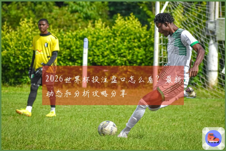 2026世界杯投注盘口怎么看？最新动态和分析攻略分享