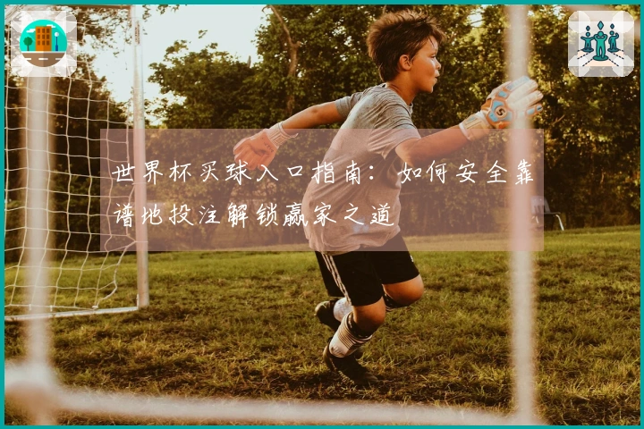 世界杯买球入口指南：如何安全靠谱地投注解锁赢家之道