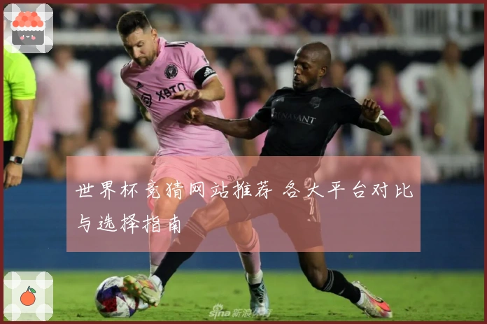 世界杯竞猜网站推荐 各大平台对比与选择指南
