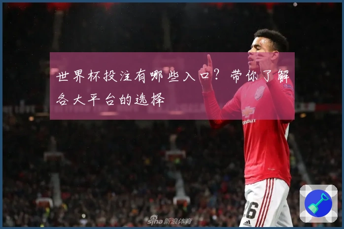 世界杯投注有哪些入口？带你了解各大平台的选择