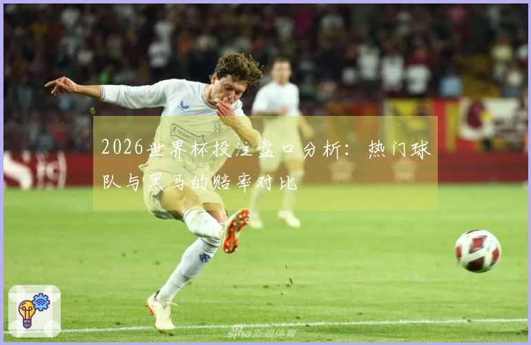 2026世界杯投注盘口分析：热门球队与黑马的赔率对比
