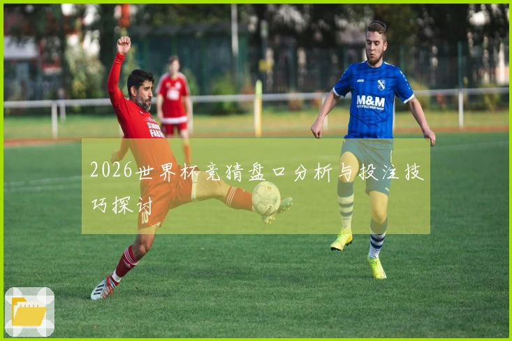 2026世界杯竞猜盘口分析与投注技巧探讨