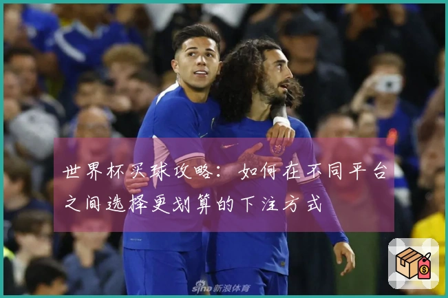 世界杯买球攻略：如何在不同平台之间选择更划算的下注方式