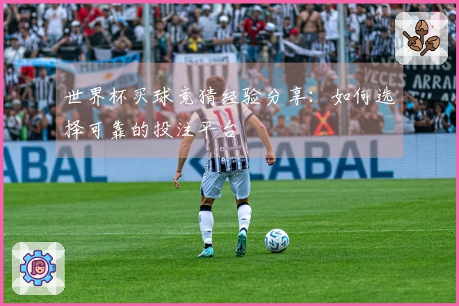 世界杯买球竞猜经验分享：如何选择可靠的投注平台