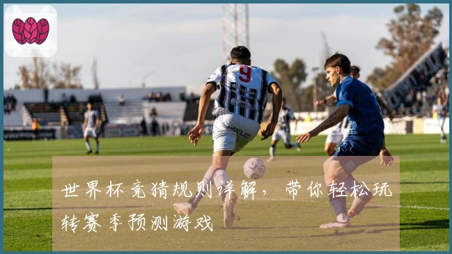 世界杯竞猜规则详解，带你轻松玩转赛季预测游戏