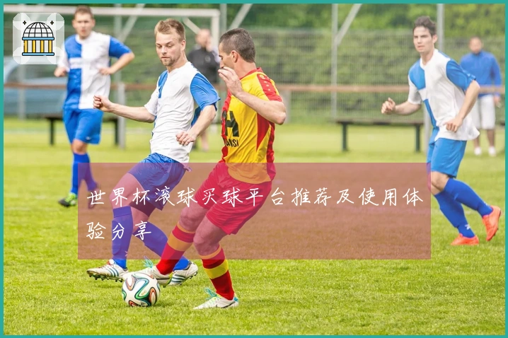 世界杯滚球买球平台推荐及使用体验分享