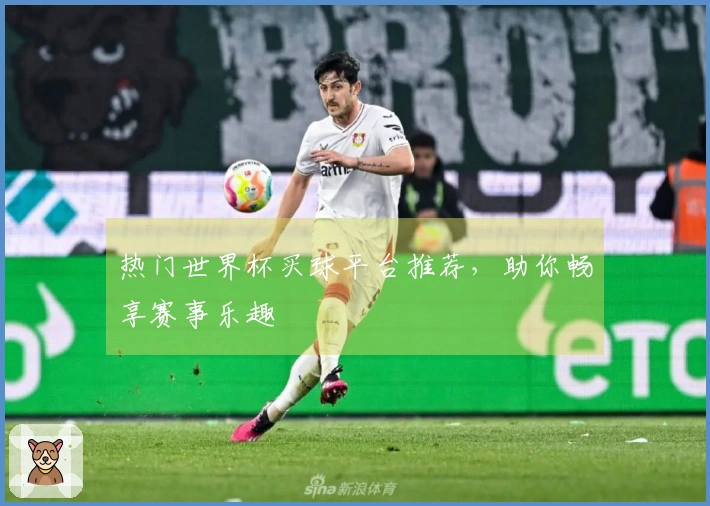 热门世界杯买球平台推荐，助你畅享赛事乐趣