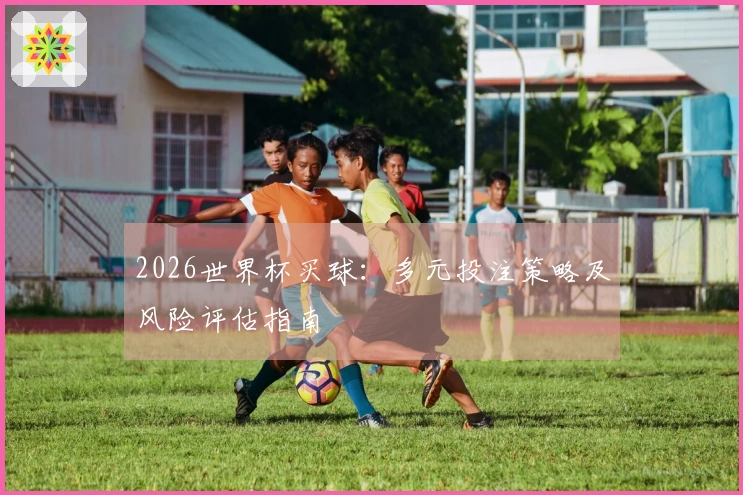 2026世界杯买球：多元投注策略及风险评估指南