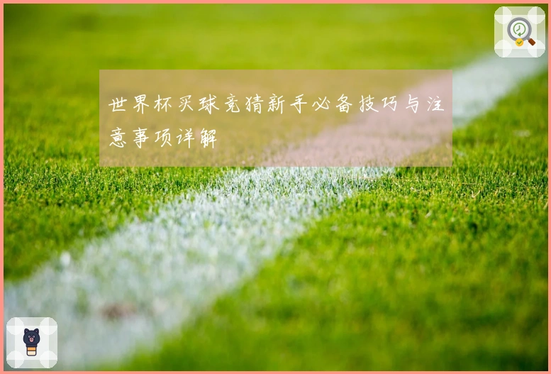 世界杯买球竞猜新手必备技巧与注意事项详解