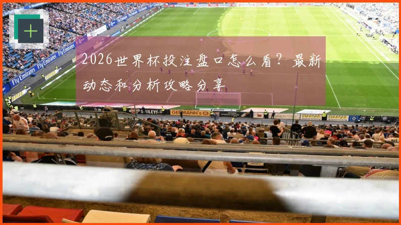 2026世界杯投注盘口怎么看？最新动态和分析攻略分享