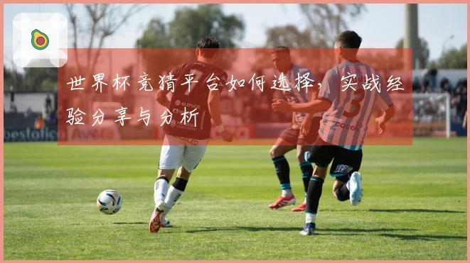 世界杯竞猜平台如何选择，实战经验分享与分析