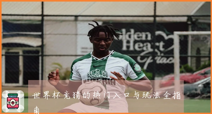 世界杯竞猜的热门入口与玩法全指南