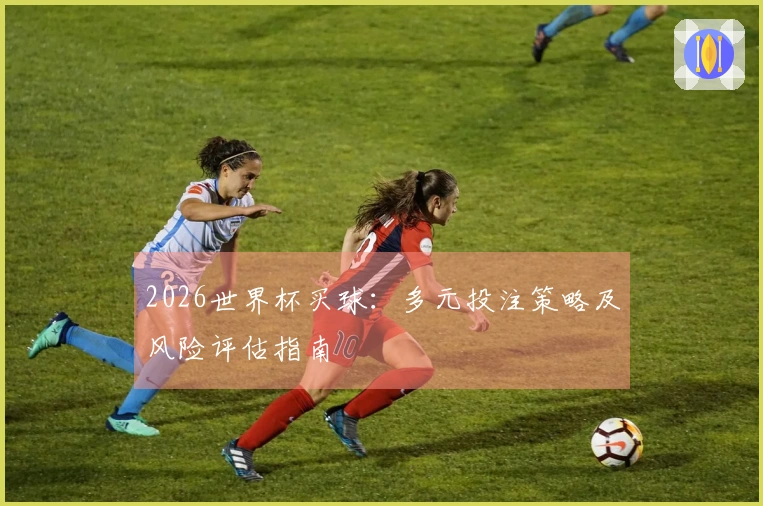 2026世界杯买球：多元投注策略及风险评估指南
