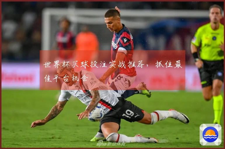 世界杯买球投注实战推荐，抓住最佳平台机会