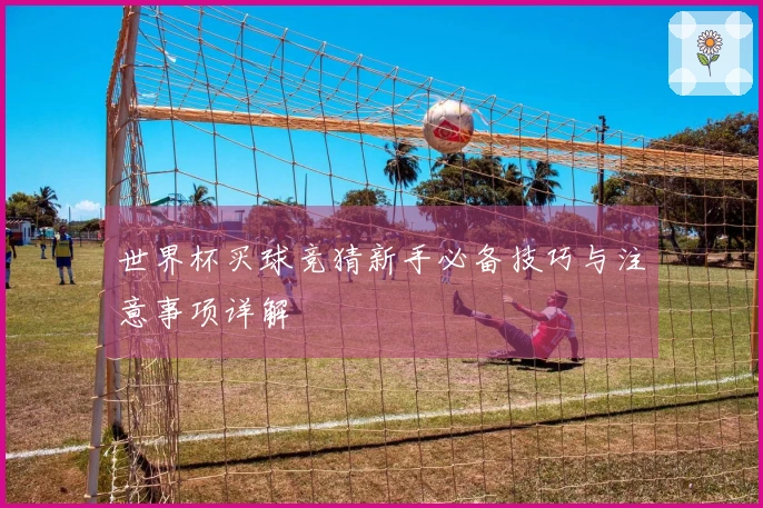 世界杯买球竞猜新手必备技巧与注意事项详解